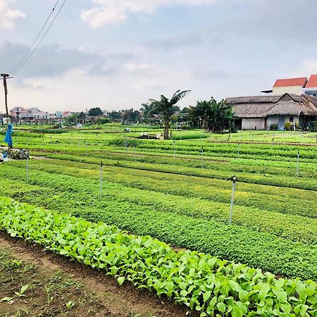 Snow Pearl Homestay Hoi An Esterno foto